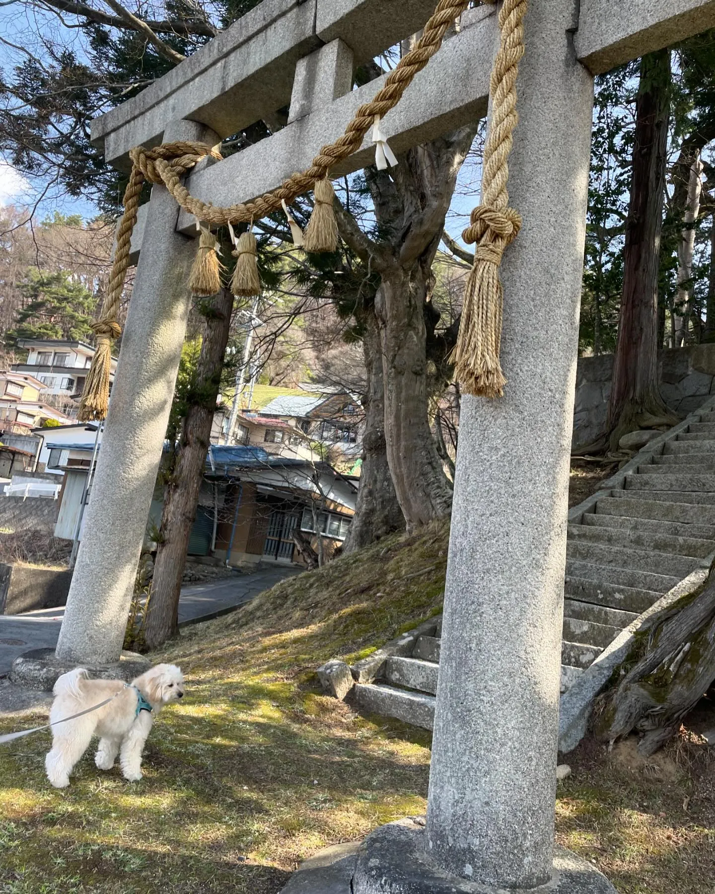 諏訪の実家に来ました。