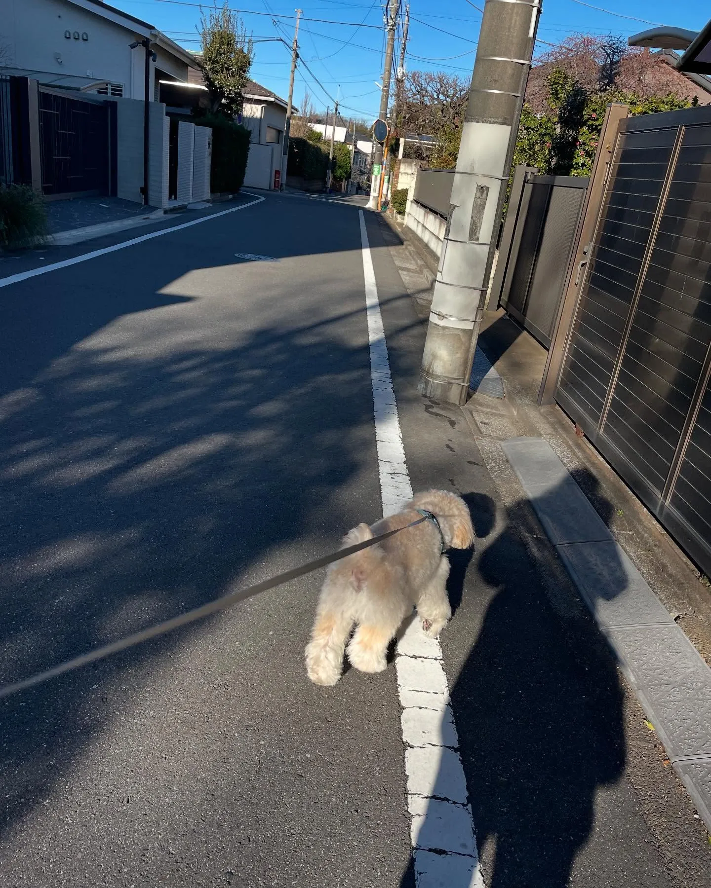 こんなに早く歩けるようになりました。